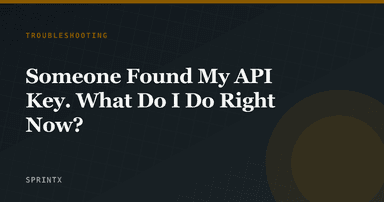 Someone Found My API Key. What Do I Do Right Now?